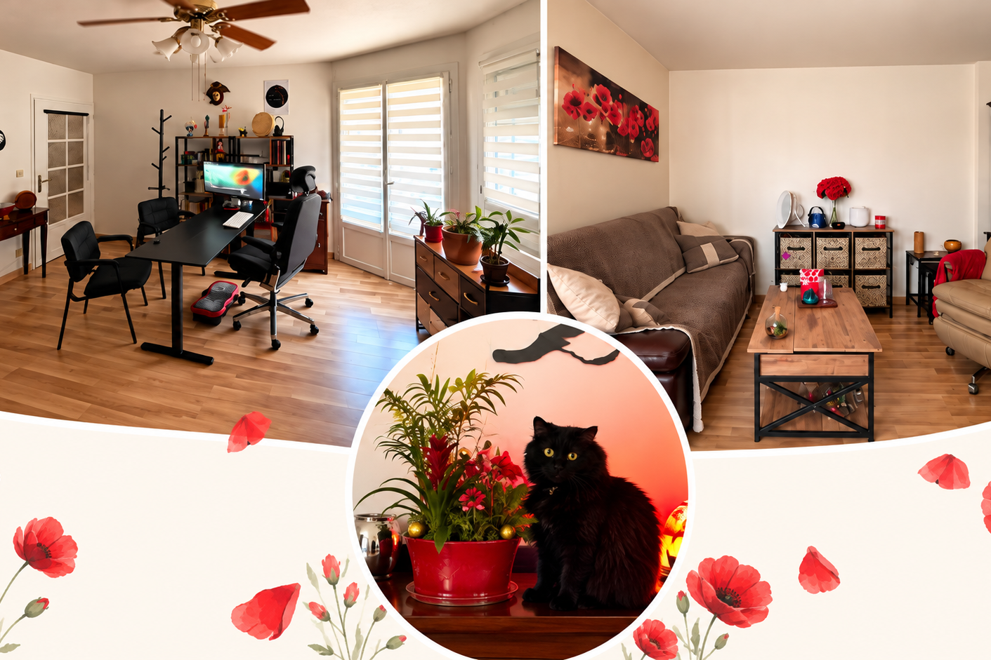 Montage du cabinet Féliz’Hypnose à Villeurbanne montrant l’espace de consultation avec bureau, le canapé et le fauteuil d’hypnose, ainsi que Fluffy, la chatte noire du cabinet.