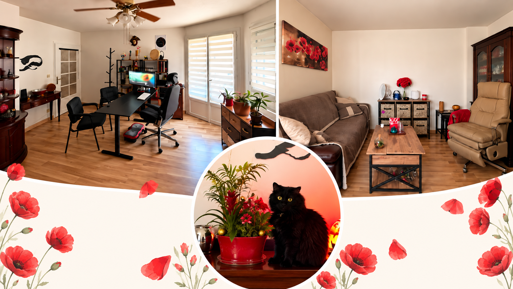 Montage du cabinet Féliz’Hypnose à Villeurbanne montrant l’espace de consultation avec bureau, le canapé et le fauteuil d’hypnose, ainsi que Fluffy, la chatte noire du cabinet.