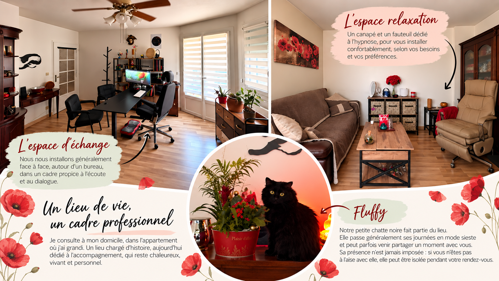 Montage du cabinet Féliz’Hypnose à Villeurbanne montrant l’espace de consultation avec bureau, le canapé et le fauteuil d’hypnose, ainsi que Fluffy, la chatte noire du cabinet.